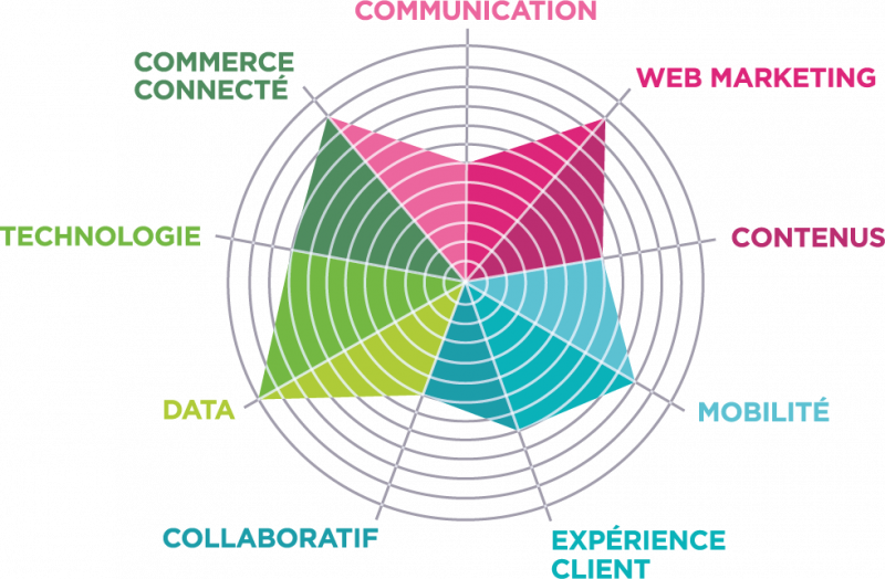 Radar de compétences DiGiTT