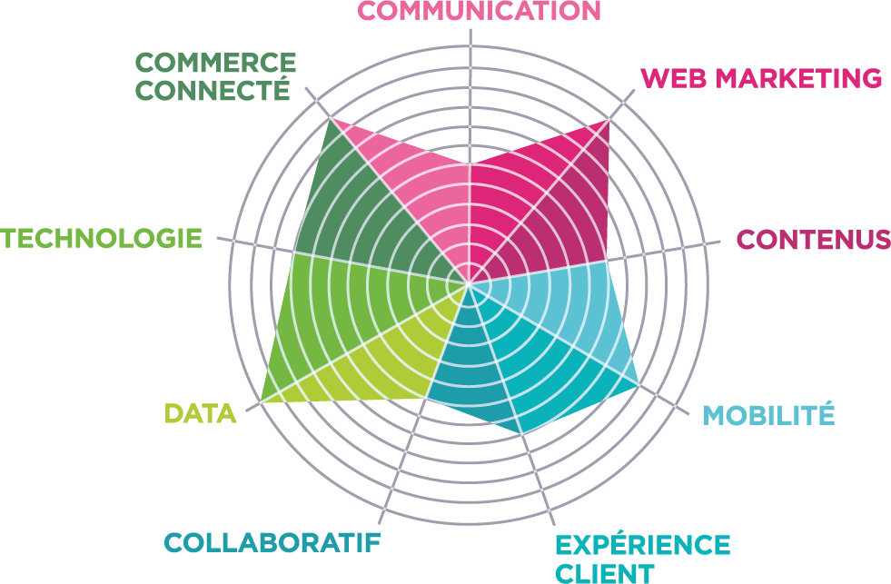Radar de compétences DiGiTT